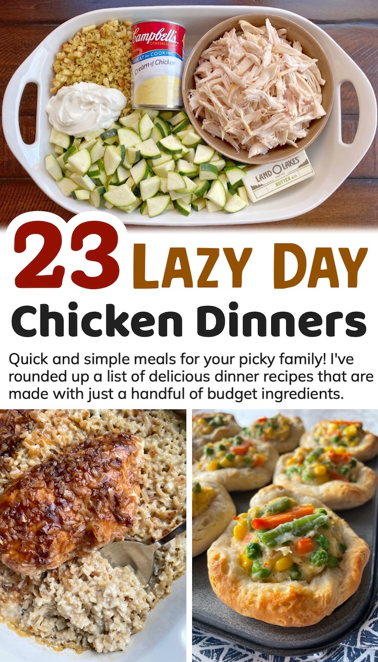 If you're searching for easy chicken dinner recipes for your picky family, your search ends here! I've rounded up a list of simple meals made with just a few ingredients that take less than 30 minutes to prepare! There's a combination of healthy recipes along with a few cheesy comfort foods. 
